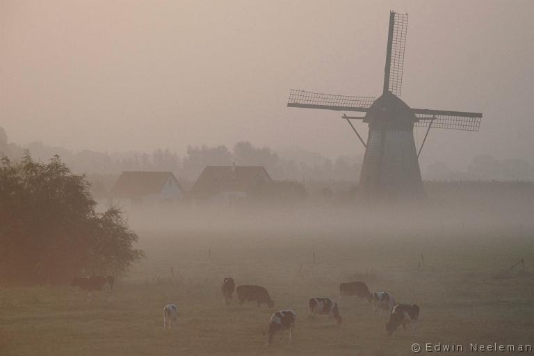 ENE-20070923-0003.jpg - Marsdijk, Lienden [nl] Windmolen 'De Mars'[en] Windmill 'De Mars'